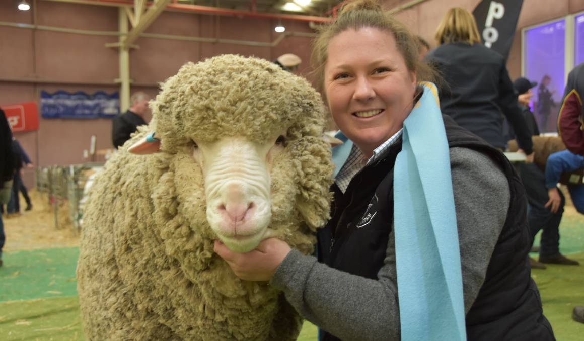 ASWS Sam and Supreme Champion Fairvew Henry Australian Sheep & Wool Show 2018 Supreme Champion Polwarth - Fairview Henry