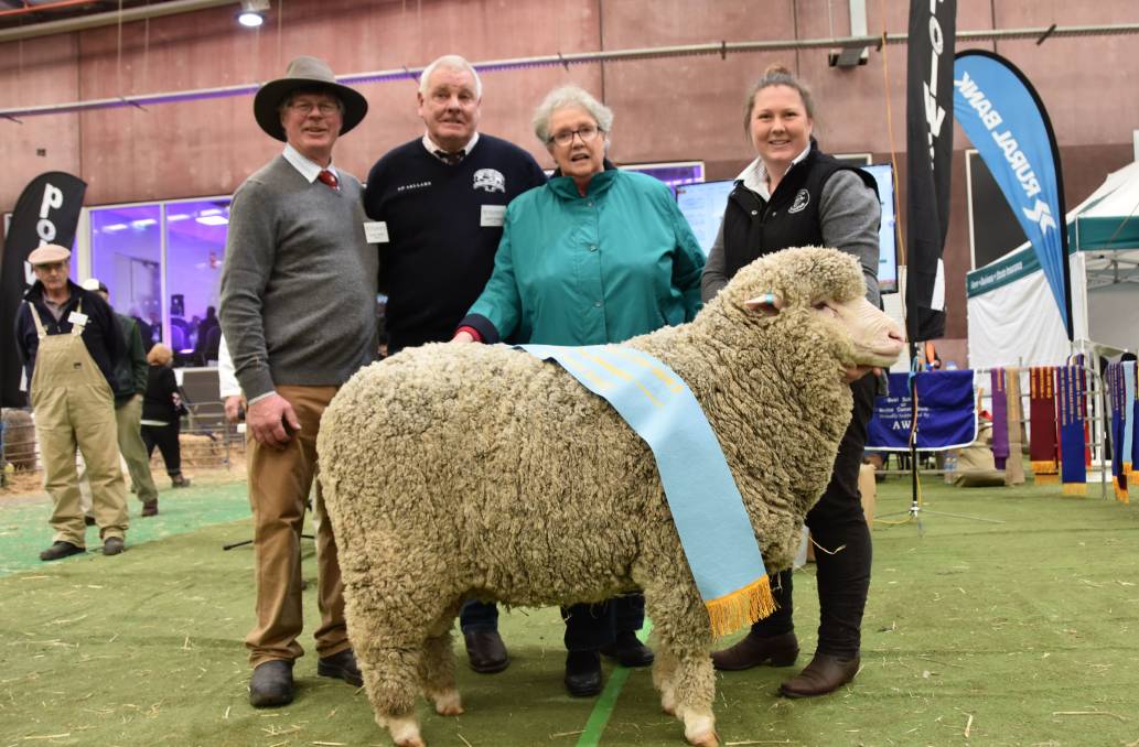 Australian Sheep & Wool Show 2018 Supreme Champion Polwarth - Fairview Henry