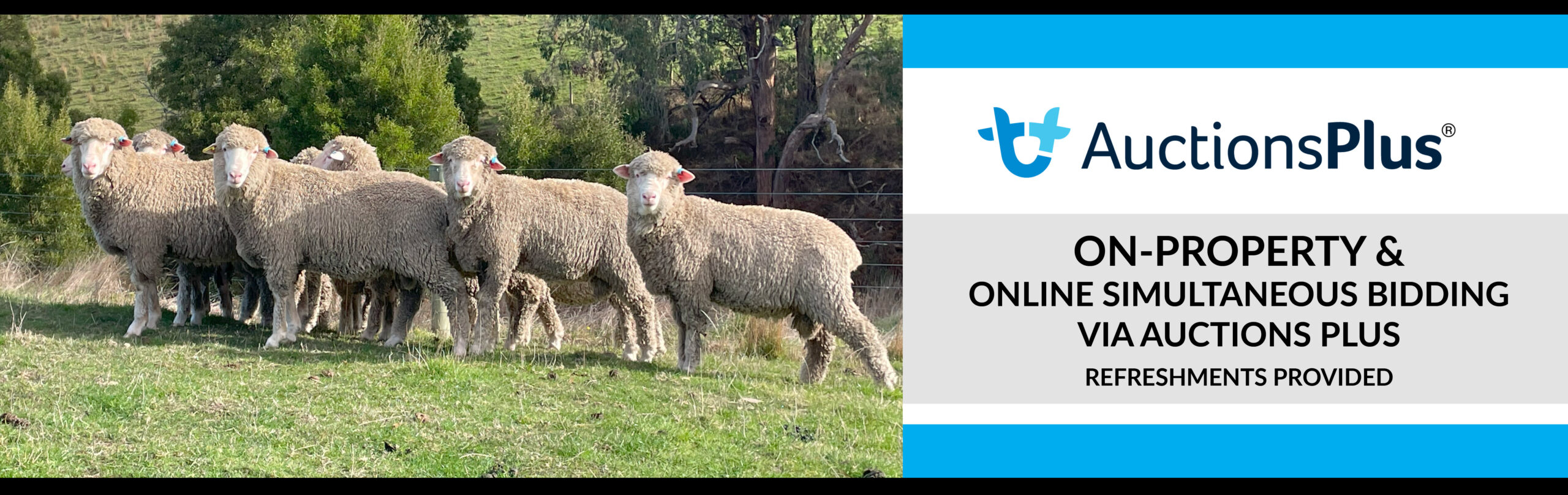 Header Photo - Sale3