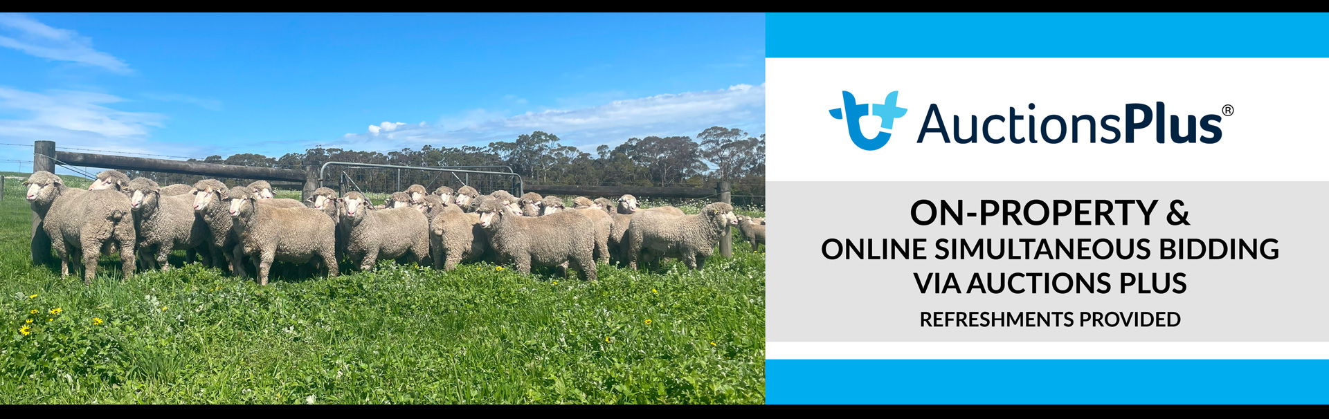 Header Photo - Sale3