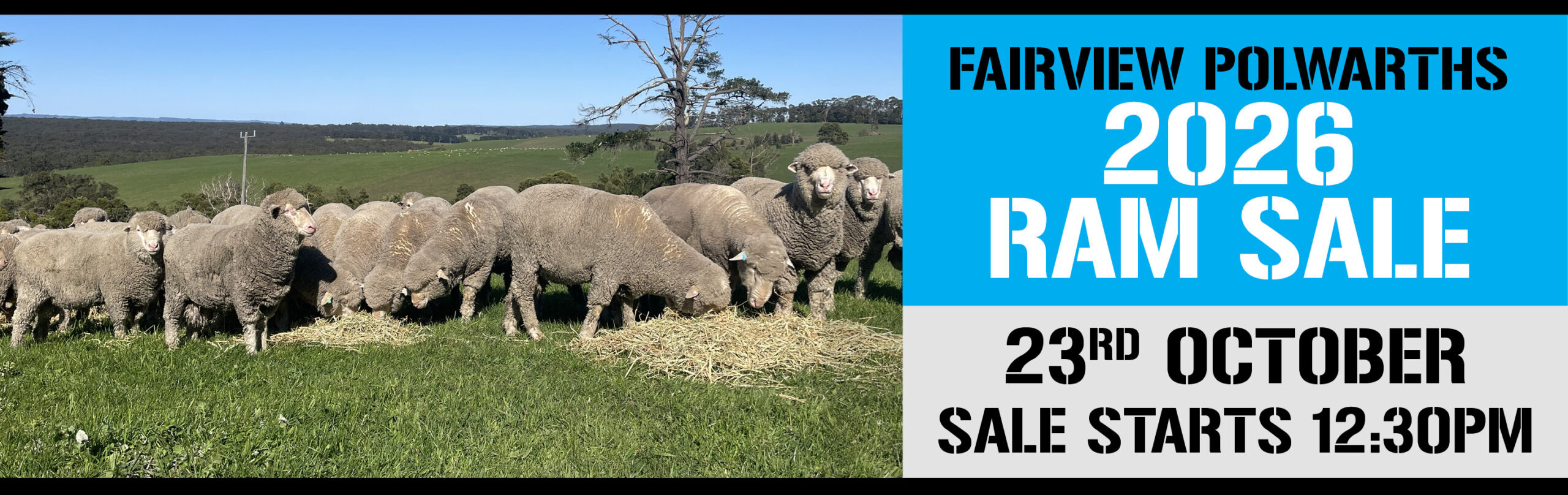 fairview-polwarths-26-rams fairview-polwarths-26-rams